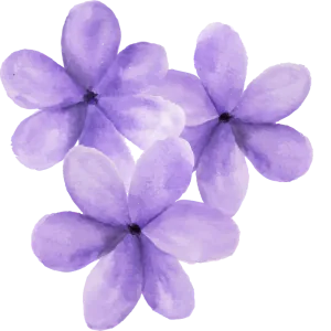 Flores moradas